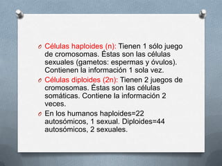 O Células haploides (n): Tienen 1 sólo juego
de cromosomas. Éstas son las células
sexuales (gametos: espermas y óvulos).
Contienen la información 1 sola vez.
O Células diploides (2n): Tienen 2 juegos de
cromosomas. Éstas son las células
somáticas. Contiene la información 2
veces.
O En los humanos haploides=22
autosómicos, 1 sexual. Diploides=44
autosómicos, 2 sexuales.
 