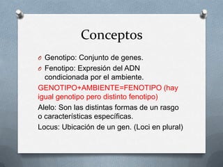 Conceptos
O Genotipo: Conjunto de genes.
O Fenotipo: Expresión del ADN
condicionada por el ambiente.
GENOTIPO+AMBIENTE=FENOTIPO (hay
igual genotipo pero distinto fenotipo)
Alelo: Son las distintas formas de un rasgo
o características específicas.
Locus: Ubicación de un gen. (Loci en plural)
 