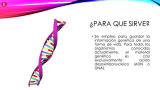 ¿PARA QUE SIRVE?
• Se emplea para guardar la
información genética de una
forma de vida. Para todos los
organismos conocidos
actualmente, el material
genético es casi
exclusivamente acido
desoxirribonucleico (ADN o
DNA).
 