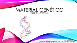 MATERIAL GENÉTICOBIOLOGIA MOLECULAR
“TORTUGAS NINJA”
(KENNIA TORRES CASTRO, JHOARIM MABEL GUZMAN)
 