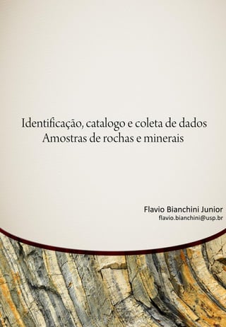 Flavio Bianchini Juniorflavio.bianchini@usp.br  