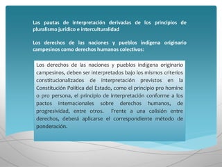 Las pautas de interpretación derivadas de los principios de
pluralismo jurídico e interculturalidad
Los derechos de las naciones y pueblos indígena originario
campesinos como derechos humanos colectivos:
Los derechos de las naciones y pueblos indígena originario
campesinos, deben ser interpretados bajo los mismos criterios
constitucionalizados de interpretación previstos en la
Constitución Política del Estado, como el principio pro homine
o pro persona, el principio de interpretación conforme a los
pactos internacionales sobre derechos humanos, de
progresividad, entre otros. Frente a una colisión entre
derechos, deberá aplicarse el correspondiente método de
ponderación.
 