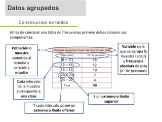 Datos agrupados
Datos agrupados
Construcción de tablas
Antes de construir una tabla de frecuencias primero debes conocer sus
componentes:
Población o
muestra
sometida al
estudio y
variable a
estudiar
Variable en la
que se agrupa la
muestra (edad)
y frecuencia
absoluta de esta
(n° de personas)
Cada intervalo
de la muestra
corresponde a
una clase
Y cada intervalo posee un
extremo o límite inferior
Y un extremo o límite
superior
 