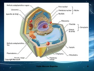 4Vade Mecum Espírita
 