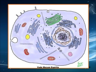 5Vade Mecum Espírita
 