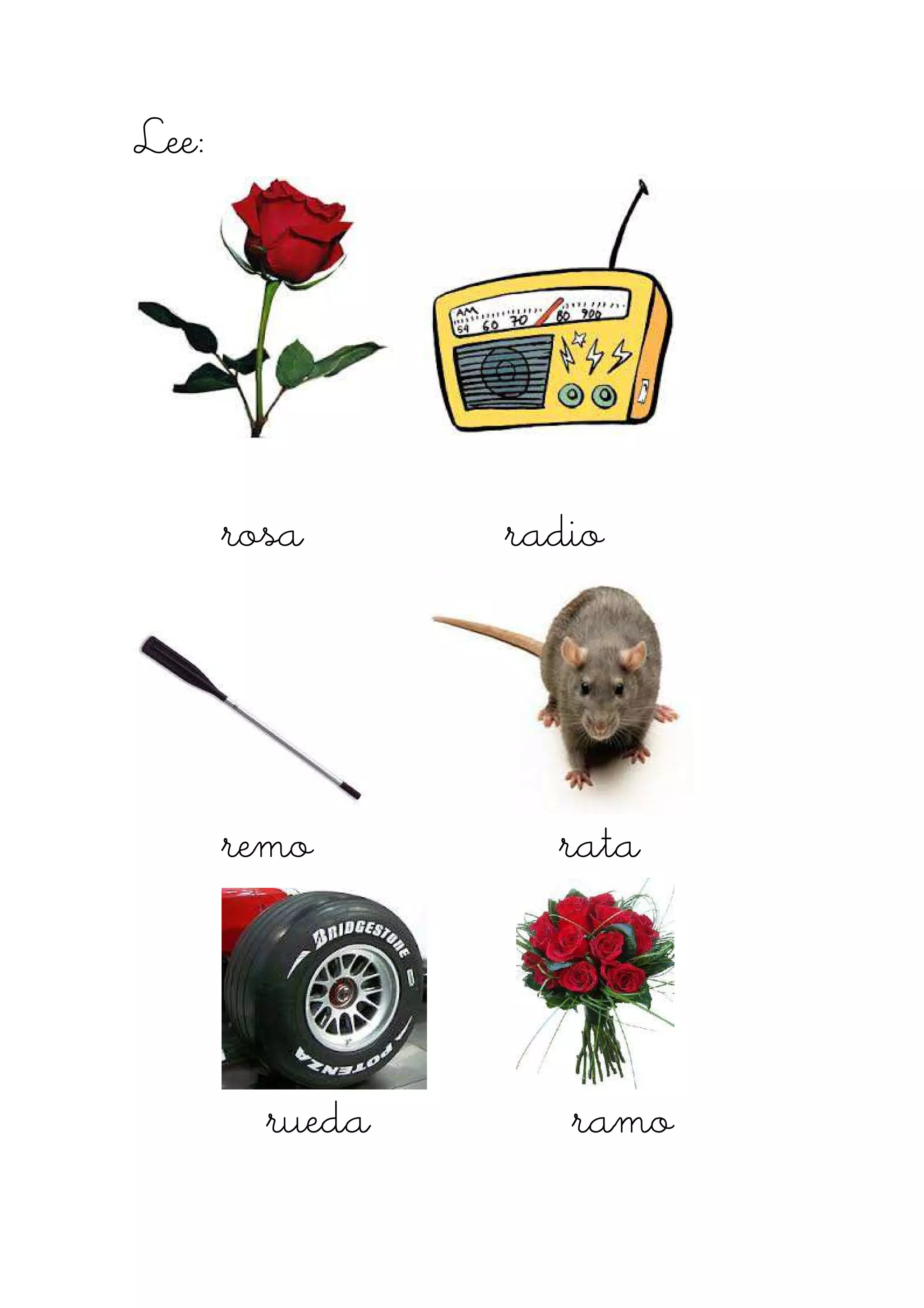 Lee:Lee:Lee:Lee:
rosa radiorosa radiorosa radiorosa radio
remo rataremo rataremo rataremo rata
rueda ramorueda ramorueda ramorueda ramo
 