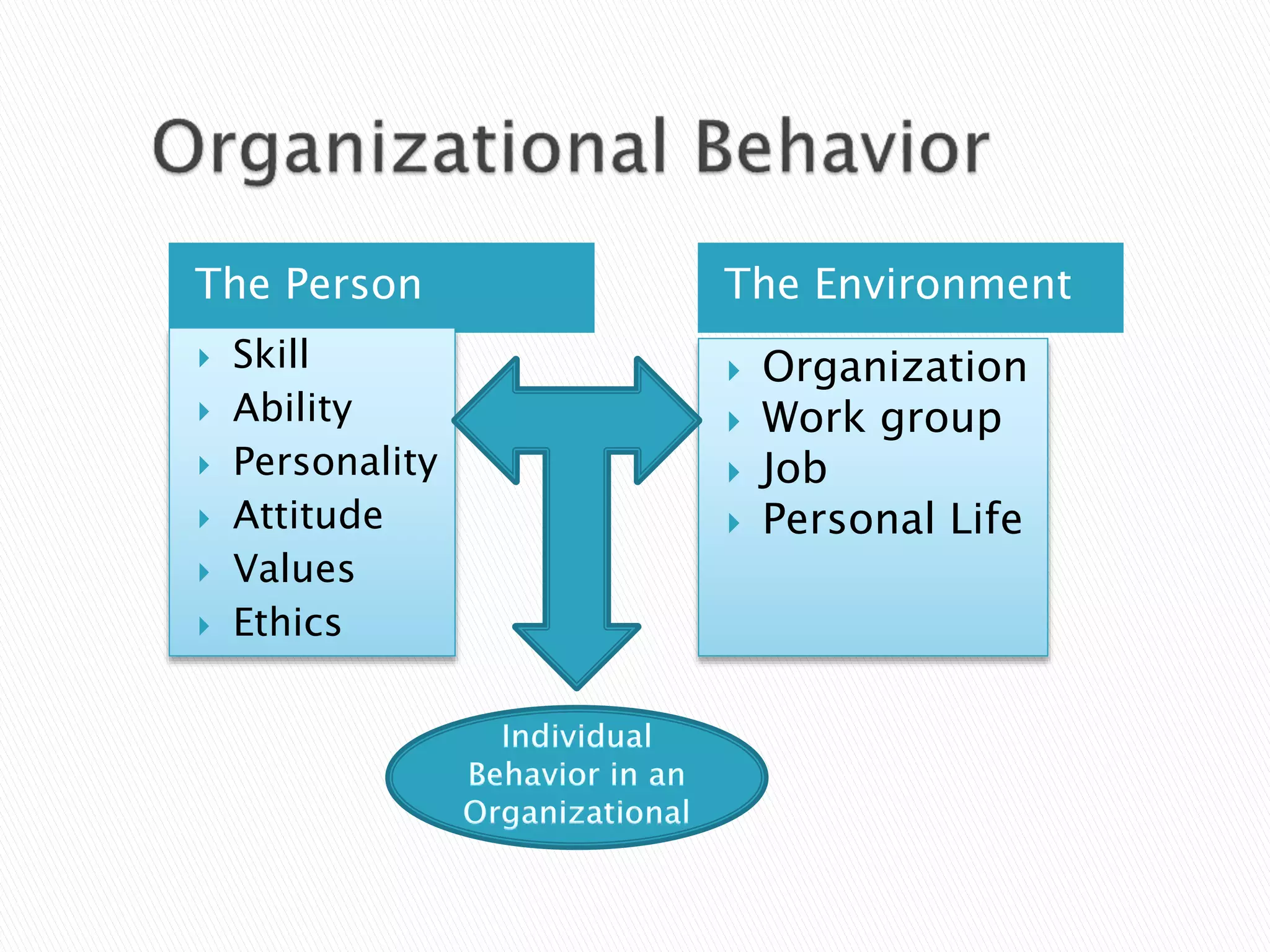 The Person The Environment
 Skill
 Ability
 Personality
 Attitude
 Values
 Ethics
 Organization
 Work group
 Job
 Personal Life
 