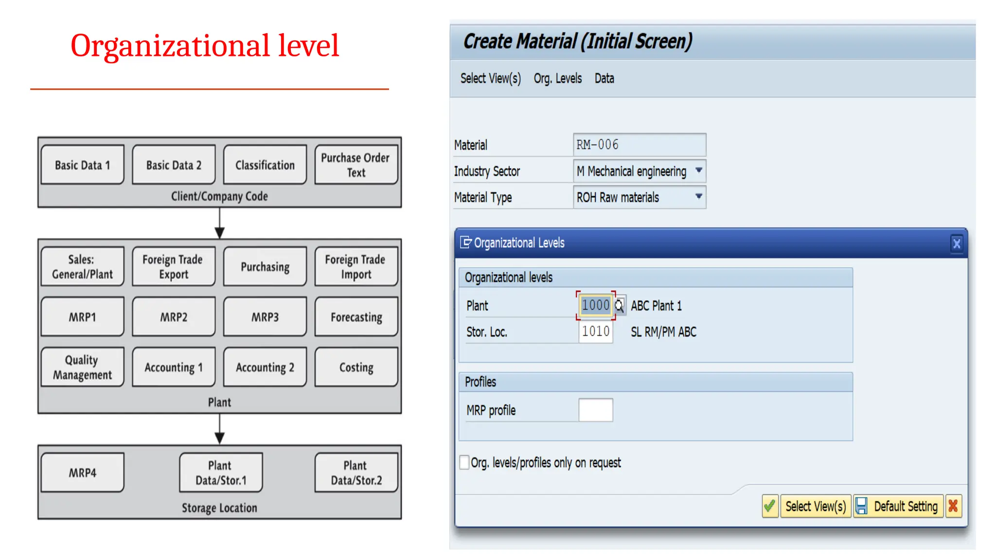 Organizational level
 
