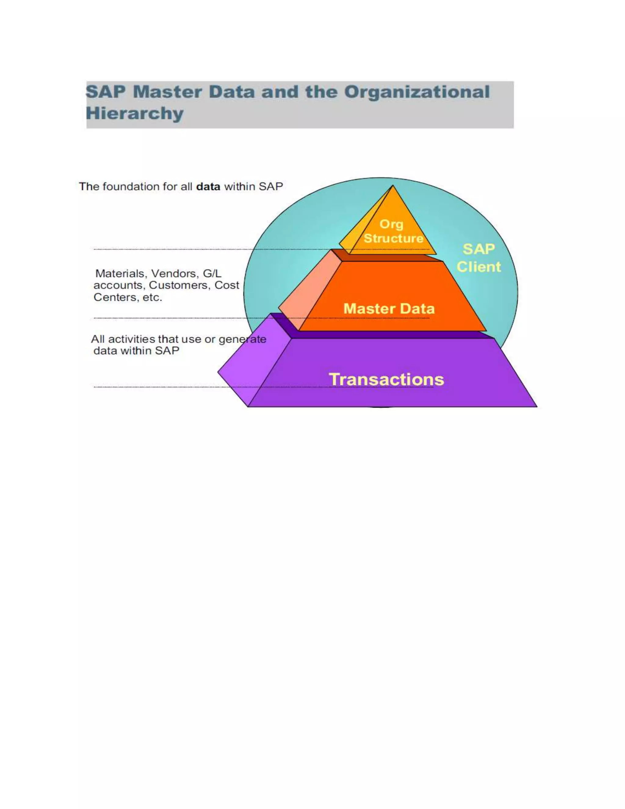 SAP Material master   general document