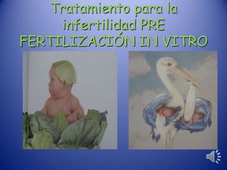 Tratamiento para la
     infertilidad PRE
FERTILIZACIÓN IN VITRO
 