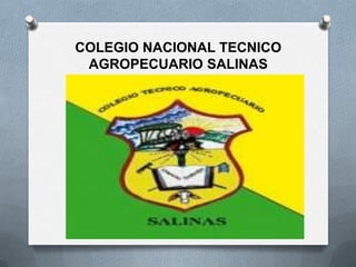 COLEGIO NACIONAL TECNICO
 AGROPECUARIO SALINAS
 
