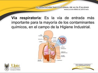 Vía respiratoria: Es la vía de entrada más
importante para la mayoría de los contaminantes
químicos, en el campo de la Higiene Industrial.

 
