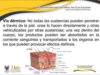 Vía dérmica: No todas las sustancias pueden penetrar
a través de la piel, unas lo hacen directamente y otras
vehiculizadas por otras sustancias; una vez dentro del
cuerpo, los productos pueden ser absorbidos en la
corriente sanguínea y transportados a los órganos en
los que pueden provocar efectos dañinos.

 