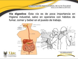 Vía digestiva: Esta vía es de poca importancia en
Higiene industrial, salvo en operarios con hábitos de
fumar, comer y beber en el puesto de trabajo.

 