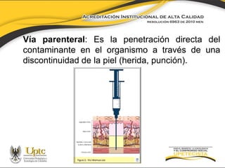 Vía parenteral: Es la penetración directa del
contaminante en el organismo a través de una
discontinuidad de la piel (herida, punción).

 