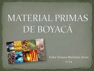 Erika Tatiana Martínez Arcos
11-04
 