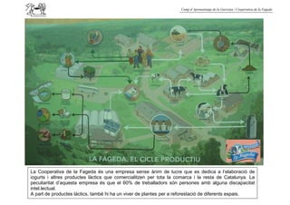 Camp d’Aprenentatge de la Garrotxa / Cooperativa de la Fageda




La Cooperativa de la Fageda és una empresa sense ànim de lucre que es dedica a l’elaboració de
iogurts i altres productes làctics que comercialitzen per tota la comarca i la resta de Catalunya. La
peculiaritat d’aquesta empresa és que el 60% de treballadors són persones amb alguna discapacitat
intel.lectual.
A part de productes làctics, també hi ha un viver de plantes per a reforestació de diferents espais.
 