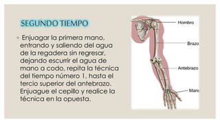 ◦ Enjuagar la primera mano, 
entrando y saliendo del agua 
de la regadera sin regresar, 
dejando escurrir el agua de 
mano a codo, repita la técnica 
del tiempo número 1, hasta el 
tercio superior del antebrazo. 
Enjuague el cepillo y realice la 
técnica en la opuesta. 
 