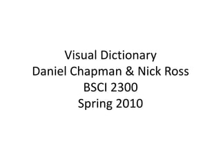 Visual DictionaryDaniel Chapman & Nick RossBSCI 2300Spring 2010 