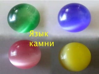 Язык
камни
 
