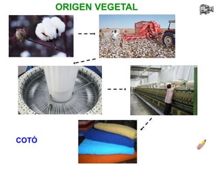 ORIGEN VEGETAL
COTÓ
 