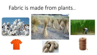 Fabric is made from plants…
 