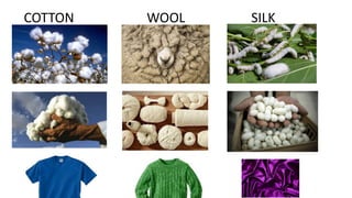 COTTON WOOL SILK
 