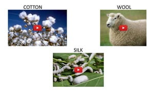 COTTON WOOL
SILK
 