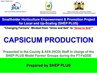 MOALF/ SHEP PLUS
Smallholder Horticulture Empowerment & Promotion Project
for Local and Up-Scaling (SHEP PLUS)
Prepared by SHEP PLUS
“Changing Farmers’ Mindset from “Grow and Sell” to ”Grow to Sell””
Japan International Cooperation Agency Agriculture and Food Authority
Horticultural Crops Directorate
Presented to the County & AFA (HCD) Staff in charge of the
SHEP PLUS Model Farmer Groups during the FT-FaDDE
CAPSICUM PRODUCTION
Ministry of Agriculture, Livestock and Fisheries
State Department for Crop Development & Agricultural Research
 