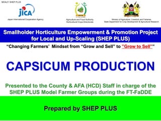 Sheps Plus Capsicum production for horticulture science | PDF