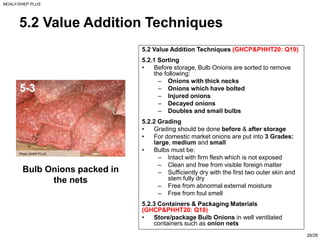 Sheps Plus PPT ON ONION BY INDUSTRY USS OF ONION AND DISEASE IN ONION | PDF