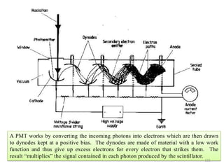A PMT works by converting the incoming photons into electrons which are then drawn
to dynodes kept at a positive bias. The dynodes are made of material with a low work
function and thus give up excess electrons for every electron that strikes them. The
result “multiplies” the signal contained in each photon produced by the scintillator.
121
 