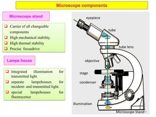 Microscope stand
 Carrier of all changeable
components
 High mechanical stability
 High thermal stability
 Precise focusdrive
illumination
condenser
stage
objective
tube lens
tube
eyepiece
Microscope Stand
Lampe house
 Integrated illumination for
transmitted light
 separate lampehouses for
incident- and transmitted light.
 special lampehouses for
fluorescence
41
 