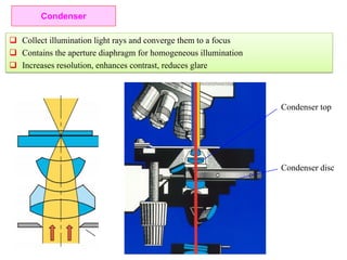 Condenser top
Condenser disc
Condenser
 Collect illumination light rays and converge them to a focus
 Contains the aperture diaphragm for homogeneous illumination
 Increases resolution, enhances contrast, reduces glare
 