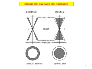 Bright field Dark field
64
 