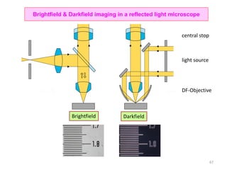 Brightfield & Darkfield imaging in a reflected light microscope
light source
central stop
DF-Objective
Brightfield Darkfield
67
 