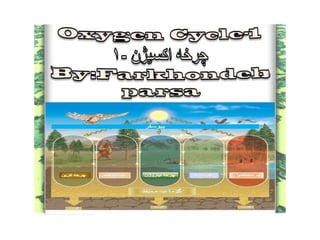 Materials cycle oxygen &phosphorus