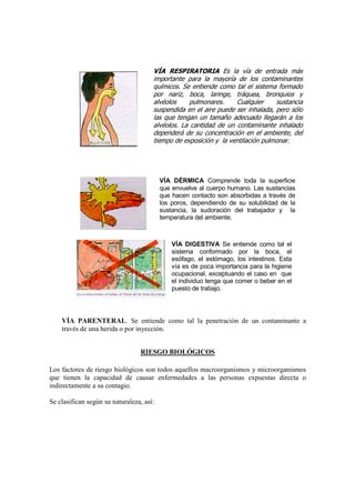 VÍA RESPIRATORIA Es la vía de entrada más
                                      importante para la mayoría de los contaminantes
                                      químicos. Se entiende como tal el sistema formado
                                      por nariz, boca, laringe, tráquea, bronquios y
                                      alvéolos     pulmonares.    Cualquier     sustancia
                                      suspendida en el aire puede ser inhalada, pero sólo
                                      las que tengan un tamaño adecuado llegarán a los
                                      alvéolos. La cantidad de un contaminante inhalado
                                      dependerá de su concentración en el ambiente, del
                                      tiempo de exposición y la ventilación pulmonar.




                                          VÍA DÉRMICA Comprende toda la superficie
                                          que envuelve al cuerpo humano. Las sustancias
                                          que hacen contacto son absorbidas a través de
                                          los poros, dependiendo de su solubilidad de la
                                          sustancia, la sudoración del trabajador y la
                                          temperatura del ambiente.



                                              VÍA DIGESTIVA Se entiende como tal el
                                              sistema conformado por la boca, el
                                              esófago, el estómago, los intestinos. Esta
                                              vía es de poca importancia para la higiene
                                              ocupacional, exceptuando el caso en que
                                              el individuo tenga que comer o beber en el
                                              puesto de trabajo.




    VÍA PARENTERAL. Se entiende como tal la penetración de un contaminante a
    través de una herida o por inyección.


                                 RIESGO BIOLÓGICOS

Los factores de riesgo biológicos son todos aquellos macroorganismos y microorganismos
que tienen la capacidad de causar enfermedades a las personas expuestas directa o
indirectamente a su contagio.

Se clasifican según su naturaleza, así:
 