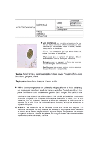 Material segundo parcial   riesgos