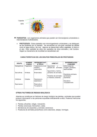 Material segundo parcial   riesgos