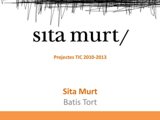 Projectes TIC 2010-2013




                                 Sita Murt
                                 Batis Tort
7X7 Ein...