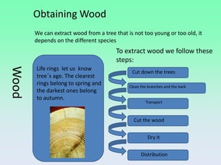 Obtaining Wood
       We can extract wood from a tree that is not too young or too old, it
       depends on the different species
                                        To extract wood we follow these
                                        steps:
       Life rings let us know
Wood



                                              Cut down the trees
       tree´s age. The clearest
       rings belong to spring and            Clean the branches and the bark
       the darkest ones belong
       to autumn.
                                                     Transport



                                               Cut the wood


                                                      Dry it


                                                   Distribution
 