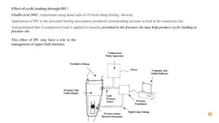 14
Effect of cyclic loading through IPC:
Challis et al 2005., experiment using distal radii of 10 fresh sheep foreleg showed:
Application of IPC to the proximal foreleg musculature produced corresponding increase in load at the osteotomy site.
And postulated that if compressive load is applied to muscles proximal to the fracture site may help produce cyclic loading at
fracture site
This effect of IPC may have a role in the
management of upper limb fractures.
 