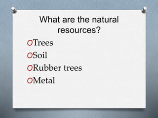 What are the natural
resources?
OTrees
OSoil
ORubber trees
OMetal
 