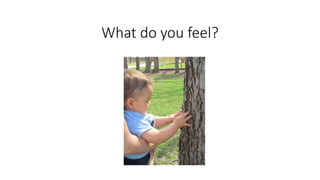 What do you feel?
 
