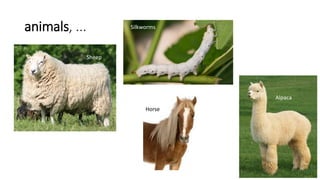 animals, ...
Sheep
Silkworms
Horse
Alpaca
 