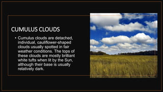 CUMULUS CLOUDS
• Cumulus clouds are detached,
individual, cauliflower-shaped
clouds usually spotted in fair
weather conditions. The tops of
these clouds are mostly brilliant
white tufts when lit by the Sun,
although their base is usually
relatively dark.
 