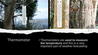 Thermometer
 