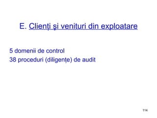 E.  Clienţi şi venituri din exploatare 5 domenii de control 38 proceduri (diligenţe) de audit 