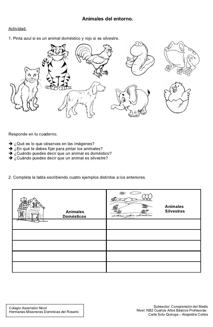 Las revocaciones sobre el spray para los cabellos fruktis sos la reconstitución las revocaciones